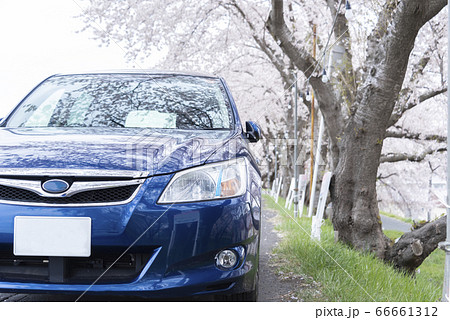 自動車と桜並木 66661312