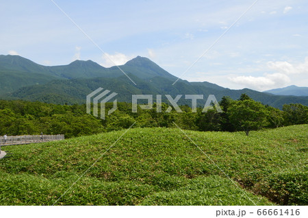 知床一湖の付近（知床五湖／北海道斜里郡斜里町） 66661416