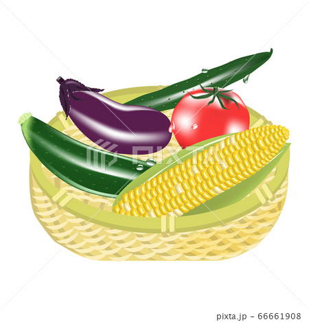 籠に入った夏野菜のイラスト素材