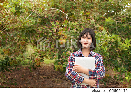 Asian woman checking report organic fruit Asian woman checking report organic fruit 66662152