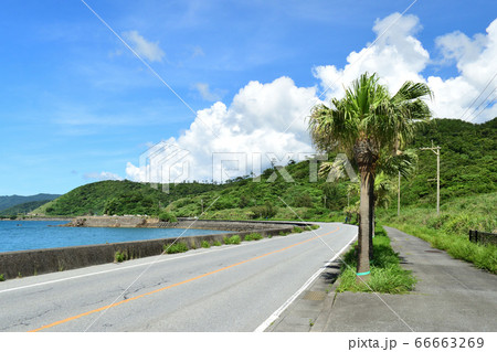 国道58号線沿いの碧い海/沖縄県大宜味村 国道58号線沿いの碧い海/沖縄県大宜味村 66663269