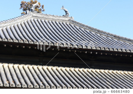 屋根 屋根 66663480