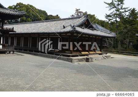 礼堂(らいどう)（唐招提寺／奈良県奈良市五条町） 66664065