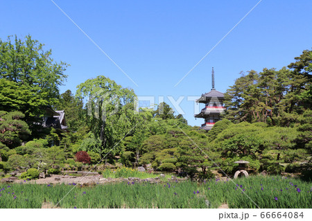 仙台市、輪王寺の庭園と三重塔 仙台市、輪王寺の庭園と三重塔 66664084