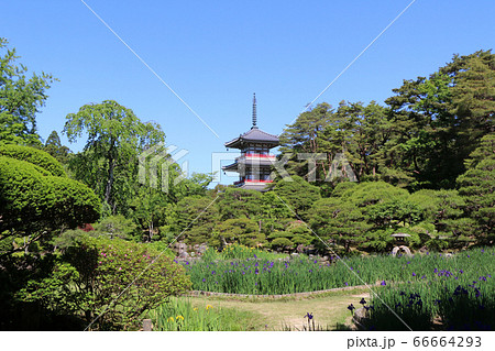 仙台市、輪王寺の庭園と三重塔 66664293