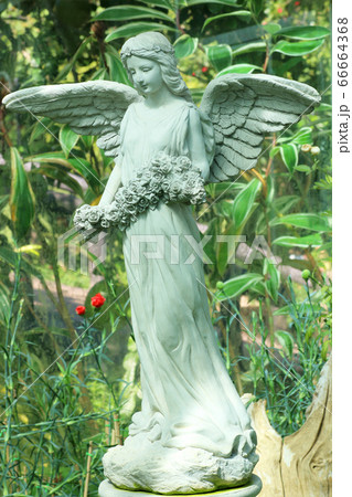 Angel statue isolated in the flower garden Angel statue isolated in the flower garden 66664368