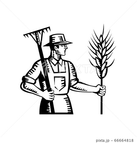 Wheat Farmer Holding A Rake And Cereal Grain Stalkのイラスト素材