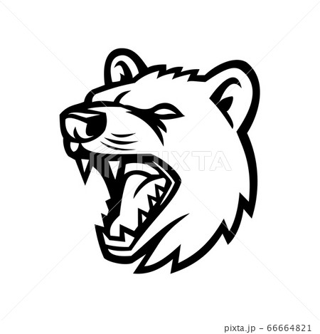 Tasmanian Devil Head Mascot Black and White Tasmanian Devil Head Mascot Black and White 66664821