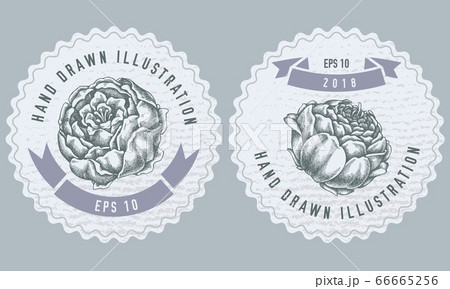 Monochrome labels design with illustration of peony 66665256