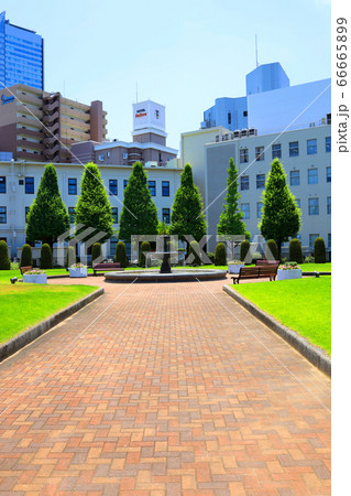 名古屋市西区のノリタケの森の風景、新緑と緑【6月】 名古屋市西区のノリタケの森の風景、新緑と緑【6月】 66665899