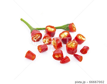 red chilli isolated on white background 66667002