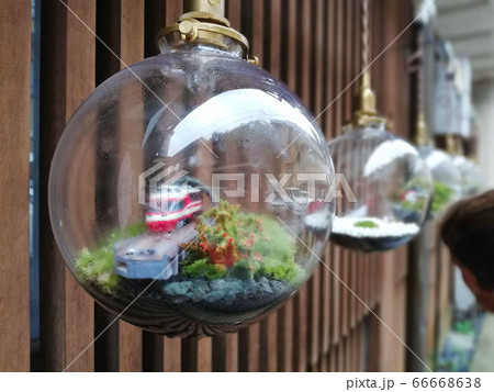 ガラスの中の模型 ガラスの中の模型 66668638