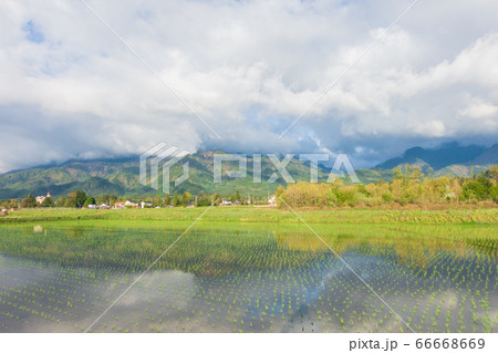 朝陽が差す田植え後の水田【初夏の安曇野】 朝陽が差す田植え後の水田【初夏の安曇野】 66668669