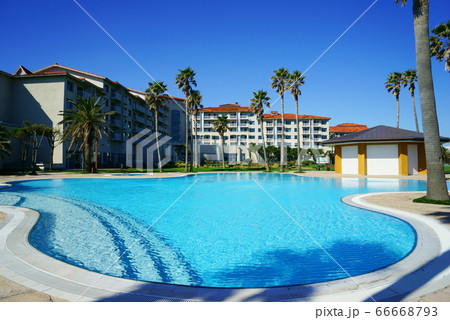 リゾート ヤシの木 青い空 66668793