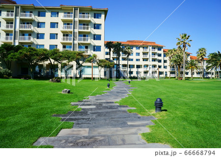 リゾート 青い空 芝生 66668794