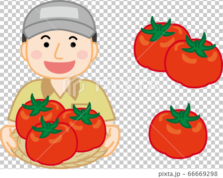Tomato producer Tomato producer 66669298