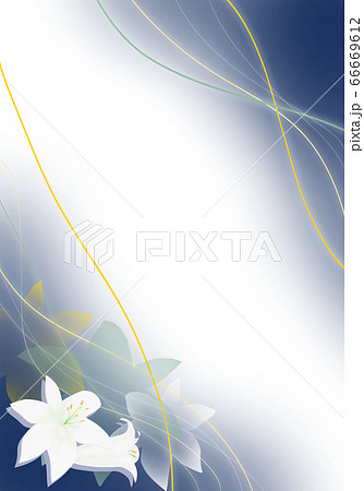 Background material White lily flower (vertical) - Stock Illustration  [66669612] - PIXTA