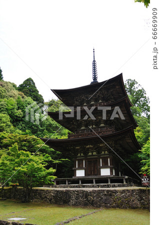 湖東三山　西明寺 66669909