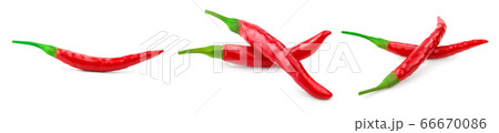 red hot chili peppers isolated on white background. Set or collection red hot chili peppers isolated on white background. Set or collection 66670086
