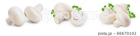 Fresh mushrooms champignon isolated on white background with clipping path and full depth of field. Set or collection Fresh mushrooms champignon isolated on white background with clipping path and full depth of field. Set or collection 66670102