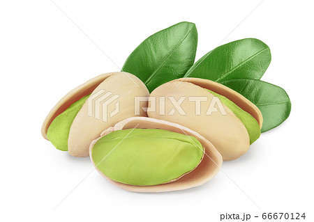 pistachio with leaves isolated on white...の写真素材 [66670124 ...