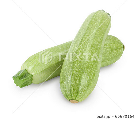zucchini or marrow isolated on white background with clipping path and full depth of field 66670164