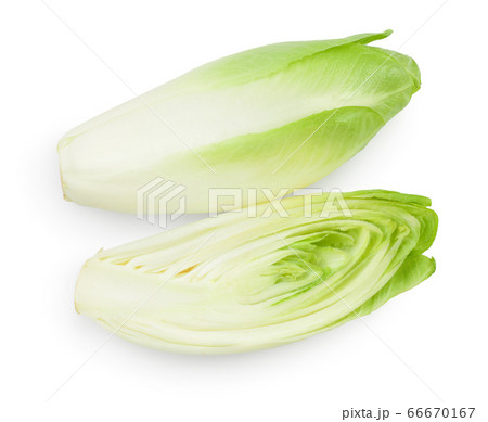 Chicory salad isolated on white background with clipping path and full depth of field. Top view. Flat lay 66670167