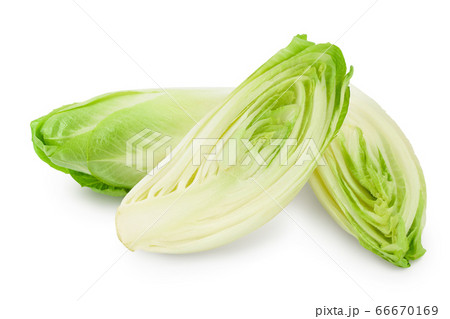 Chicory salad isolated on white background with clipping path and full depth of field. 66670169