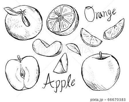 画像をダウンロード りんごの木 イラスト 白黒 最高の壁紙のアイデアcahd