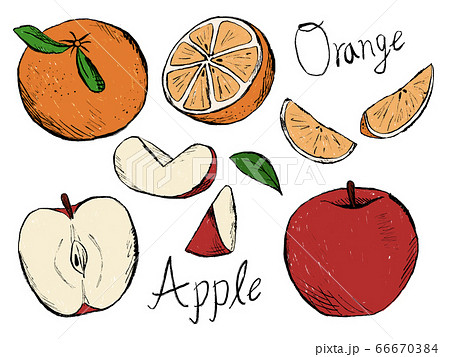 りんごやみかんの手書きイラストイメージのイラスト素材