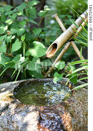 鹿威しのある夏の風景 鹿威しのある夏の風景 66670481