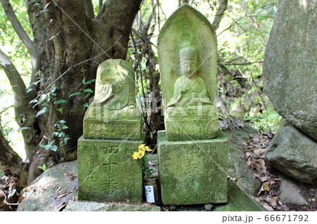 太山寺 66671792