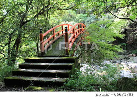 太山寺 66671793