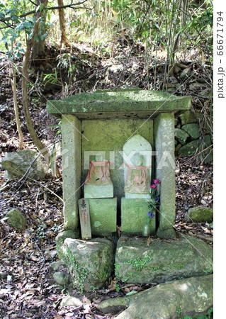太山寺 66671794