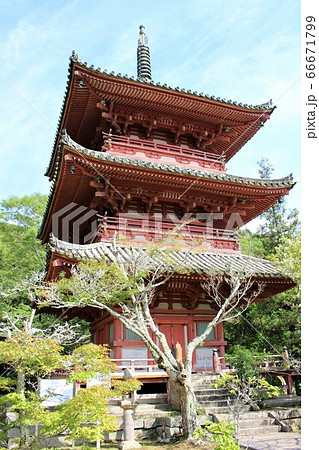 太山寺 太山寺 66671799