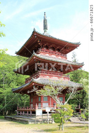 太山寺 太山寺 66671825