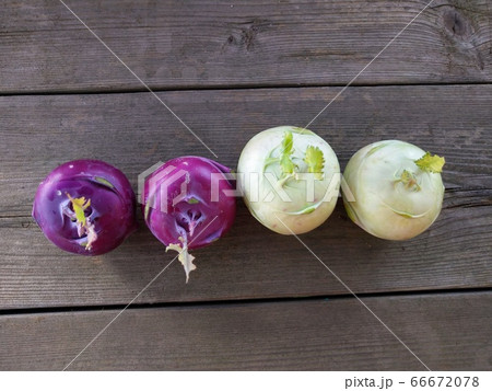 コールラビ 66672078