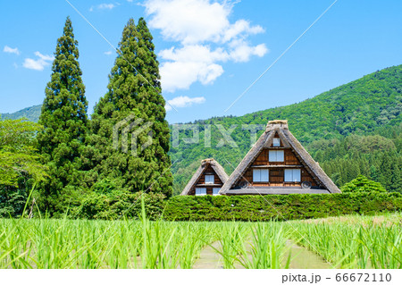 初夏の白川郷（昼） 66672110