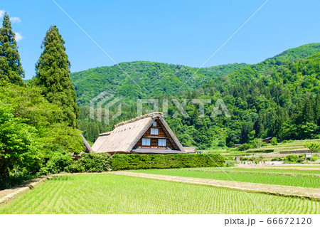 初夏の白川郷（昼） 66672120
