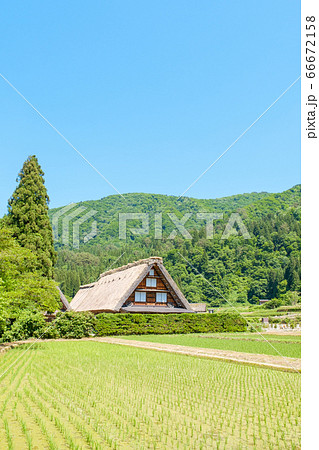 初夏の白川郷（昼） 66672158