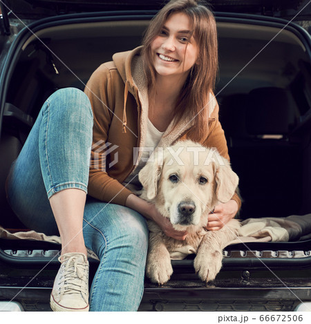Close up of woman in blue jeans next to golden retriever sitting in open trunk of black car 66672506
