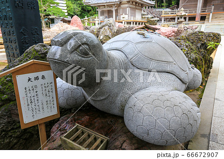 高知県　金剛福寺　第38番礼所　大師亀 66672907