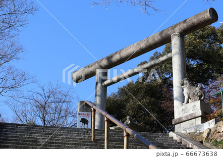 織姫神社 66673638