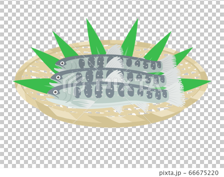 漏勺中的一個字符的插圖 66675220