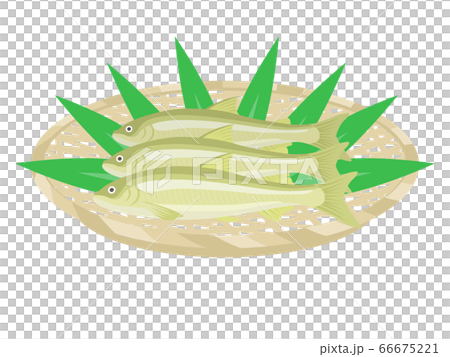 阿玉在漏勺上的插圖 66675221