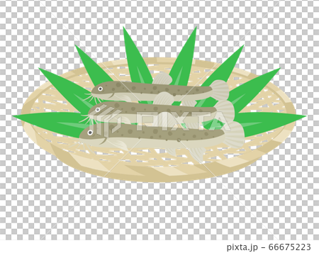 泥ach上漏勺的插圖 66675223