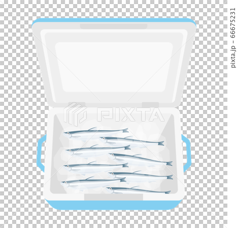 Illustration of shishamo in the cooler box Illustration of shishamo in the cooler box 66675231