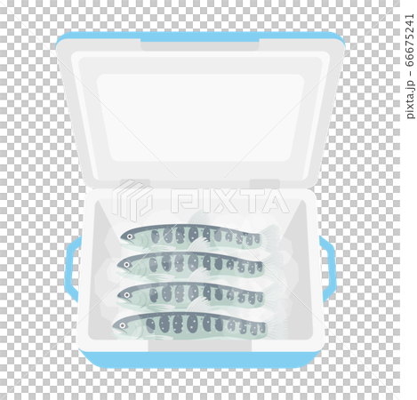 冷藏箱中的炭灰的插圖 66675241