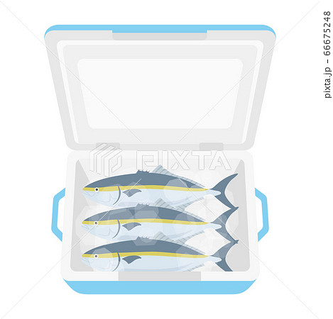 クーラーボックスに入った鰤のイラストのイラスト素材