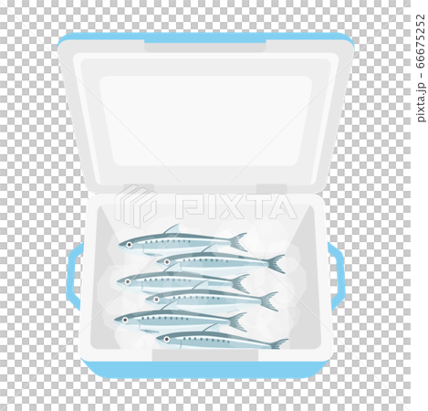 沙丁魚在保溫箱裡的插圖 沙丁魚在保溫箱裡的插圖 66675252